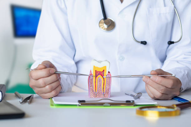 Best After-Hours Dental Care in Vassar, MI